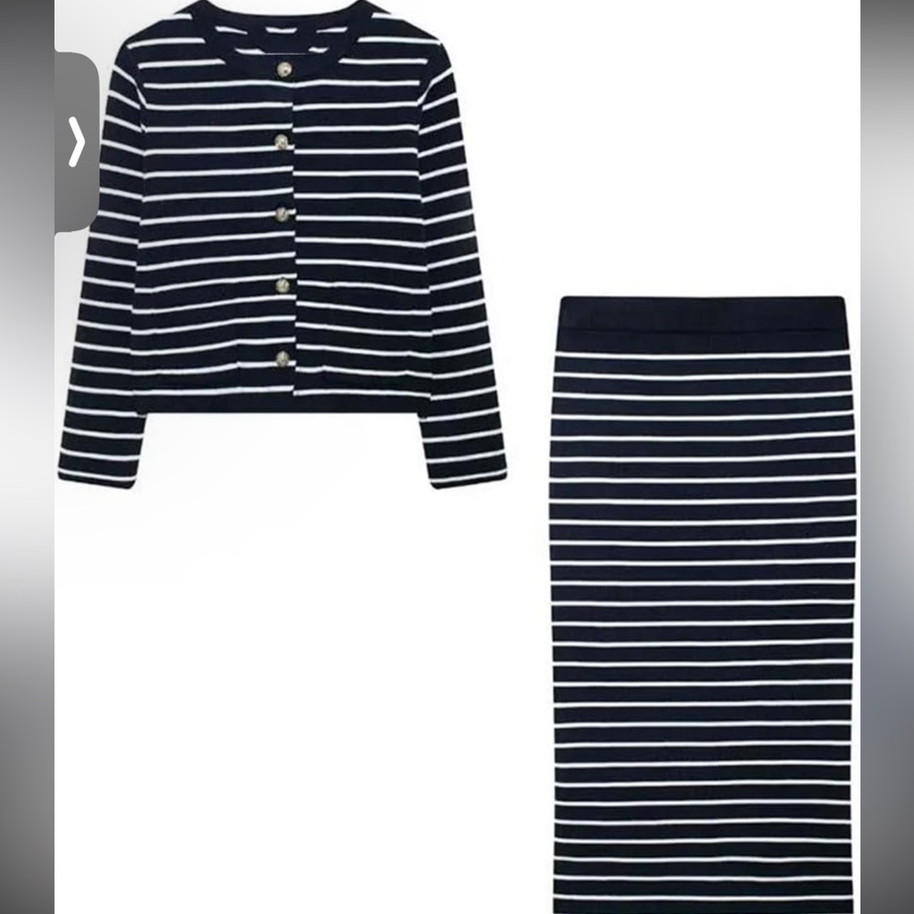 Zara Navy and White Striped Pencil Skirt